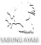 sabung ayam